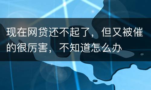 现在网贷还不起了，但又被催的很厉害，不知道怎么办