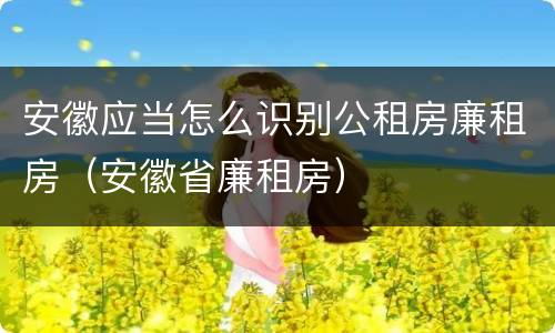 安徽应当怎么识别公租房廉租房（安徽省廉租房）
