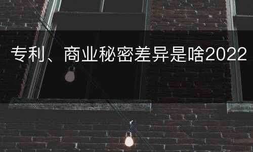 专利、商业秘密差异是啥2022