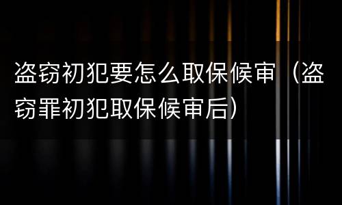盗窃初犯要怎么取保候审（盗窃罪初犯取保候审后）