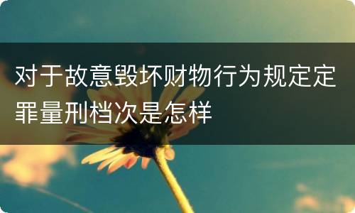 对于故意毁坏财物行为规定定罪量刑档次是怎样