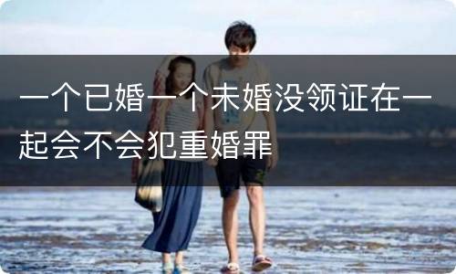 一个已婚一个未婚没领证在一起会不会犯重婚罪