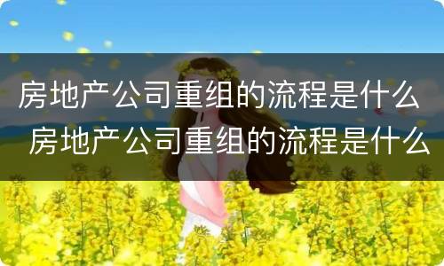 房地产公司重组的流程是什么 房地产公司重组的流程是什么意思