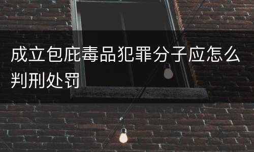 成立包庇毒品犯罪分子应怎么判刑处罚