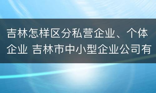 吉林怎样区分私营企业、个体企业 吉林市中小型企业公司有哪些
