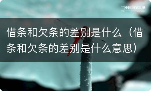 借条和欠条的差别是什么（借条和欠条的差别是什么意思）