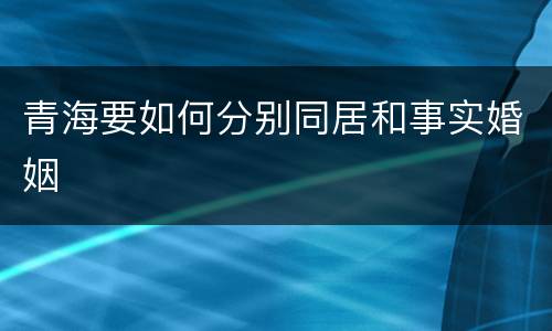 青海要如何分别同居和事实婚姻