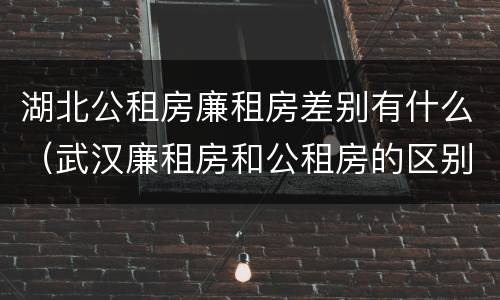 湖北公租房廉租房差别有什么（武汉廉租房和公租房的区别）
