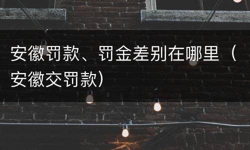 安徽罚款、罚金差别在哪里（安徽交罚款）