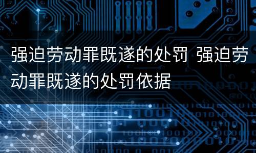 强迫劳动罪既遂的处罚 强迫劳动罪既遂的处罚依据