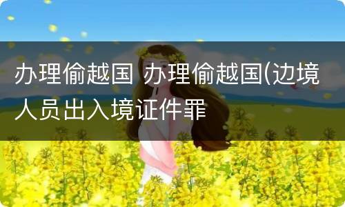 办理偷越国 办理偷越国(边境人员出入境证件罪