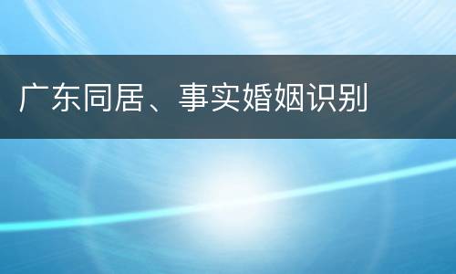 广东同居、事实婚姻识别
