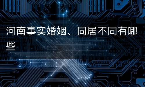 河南事实婚姻、同居不同有哪些