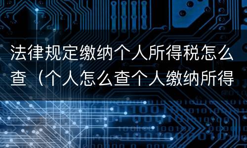 法律规定缴纳个人所得税怎么查（个人怎么查个人缴纳所得税）
