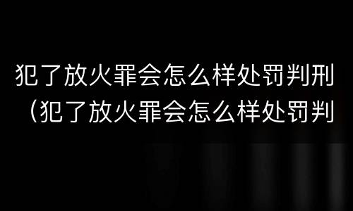 犯了放火罪会怎么样处罚判刑（犯了放火罪会怎么样处罚判刑吗）