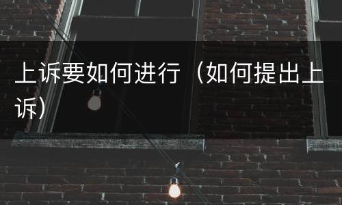 上诉要如何进行（如何提出上诉）