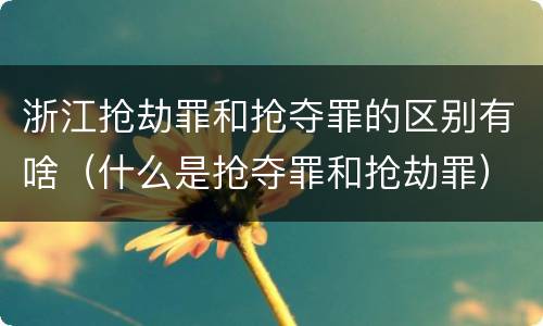 浙江抢劫罪和抢夺罪的区别有啥（什么是抢夺罪和抢劫罪）