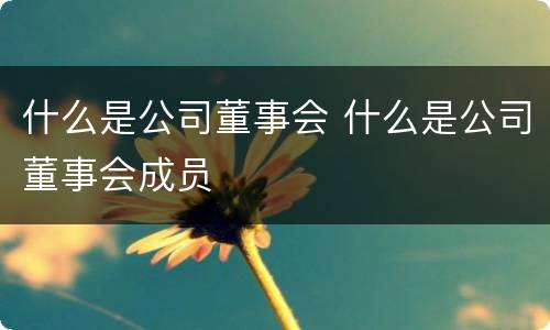 什么是公司董事会 什么是公司董事会成员