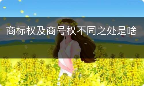 商标权及商号权不同之处是啥