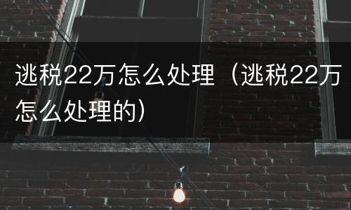 逃税22万怎么处理（逃税22万怎么处理的）