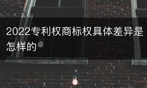 2022专利权商标权具体差异是怎样的