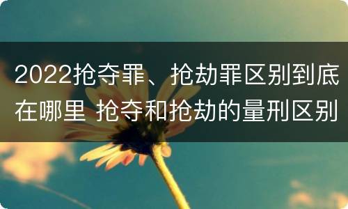 2022抢夺罪、抢劫罪区别到底在哪里 抢夺和抢劫的量刑区别