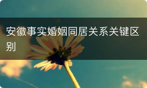安徽事实婚姻同居关系关键区别