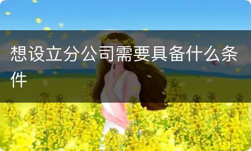 想设立分公司需要具备什么条件