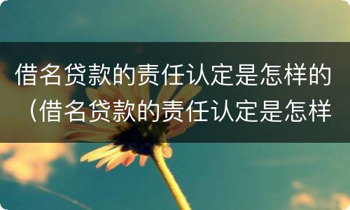 借名贷款的责任认定是怎样的（借名贷款的责任认定是怎样的标准）