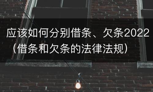 应该如何分别借条、欠条2022（借条和欠条的法律法规）