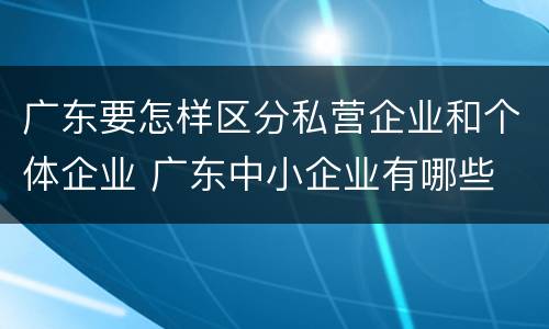 广东要怎样区分私营企业和个体企业 广东中小企业有哪些