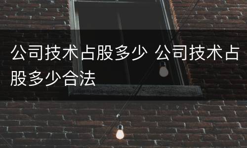 公司技术占股多少 公司技术占股多少合法