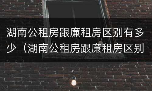 湖南公租房跟廉租房区别有多少（湖南公租房跟廉租房区别有多少套）