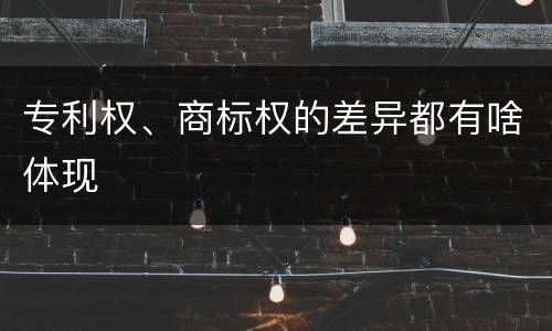 专利权、商标权的差异都有啥体现