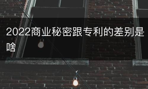 2022商业秘密跟专利的差别是啥