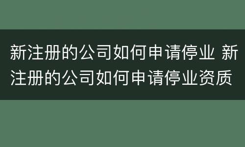 新注册的公司如何申请停业 新注册的公司如何申请停业资质