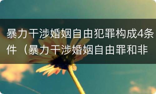 暴力干涉婚姻自由犯罪构成4条件（暴力干涉婚姻自由罪和非法拘禁罪）