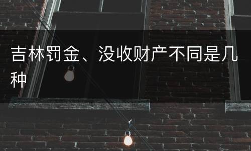 吉林罚金、没收财产不同是几种