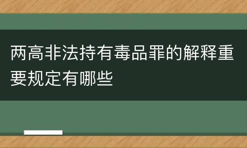 两高非法持有毒品罪的解释重要规定有哪些