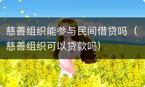 慈善组织能参与民间借贷吗（慈善组织可以贷款吗）