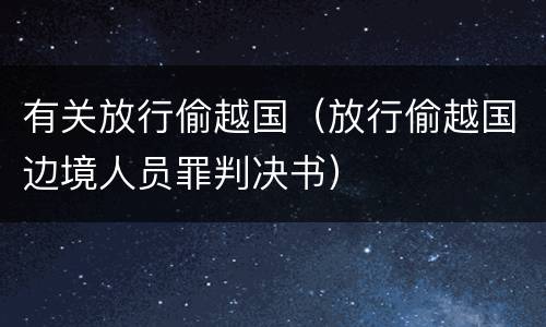 有关放行偷越国（放行偷越国边境人员罪判决书）