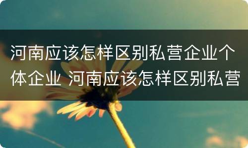 河南应该怎样区别私营企业个体企业 河南应该怎样区别私营企业个体企业和公司