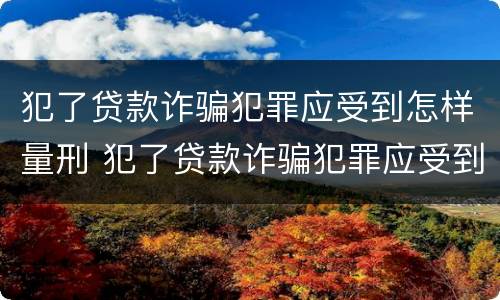 犯了贷款诈骗犯罪应受到怎样量刑 犯了贷款诈骗犯罪应受到怎样量刑处罚