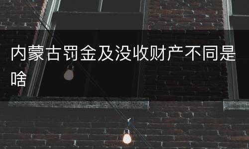 内蒙古罚金及没收财产不同是啥