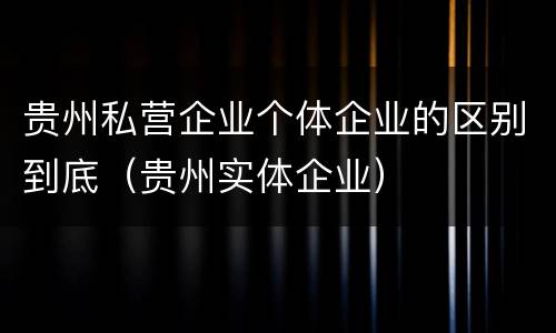 贵州私营企业个体企业的区别到底（贵州实体企业）