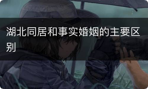 湖北同居和事实婚姻的主要区别