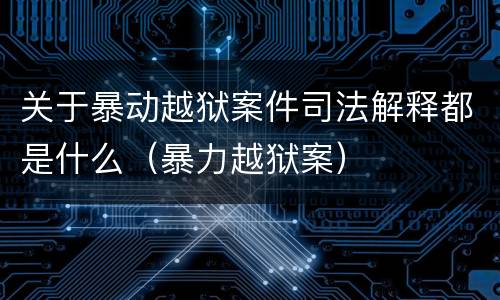 关于暴动越狱案件司法解释都是什么（暴力越狱案）