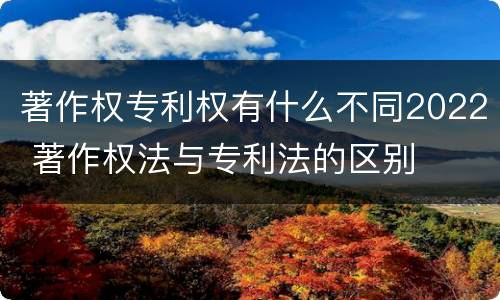 著作权专利权有什么不同2022 著作权法与专利法的区别