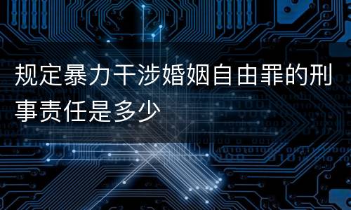 规定暴力干涉婚姻自由罪的刑事责任是多少