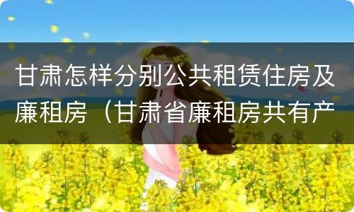 甘肃怎样分别公共租赁住房及廉租房（甘肃省廉租房共有产权管理办法）